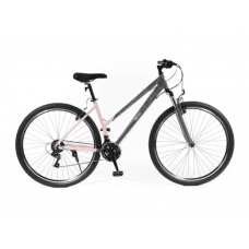 Dviratis 28" Olpran SALIX pilka/rožinė spalva
