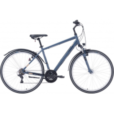 Dviratis 28" Pegasus Avanti Sport 18 vyr. 18g t.pilkas Dydis L