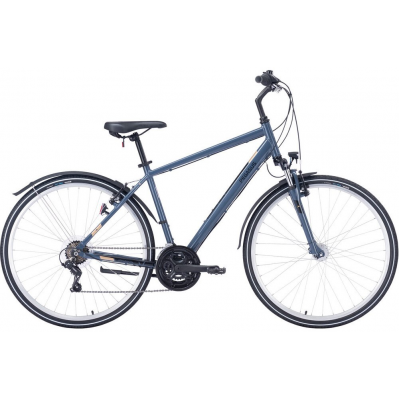 Dviratis 28" Pegasus Avanti Sport 18 vyr. 18g t.pilkas Dydis L