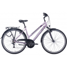 Dviratis 28" Pegasus Piazza 21g trapez šv.violetinis Dydis L